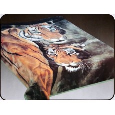 1 Ply Blanket - Tiger Couple