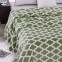 Super Soft Microfiber Blanket - Green Pattern