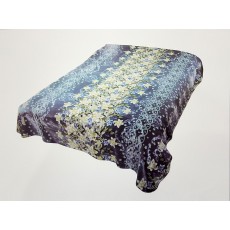 Silkline Blanket - 017/044